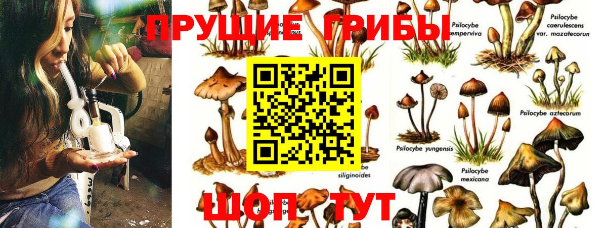 Псилоцибиновые грибы прущие грибы  Вход с VPN  Ульяновск 
