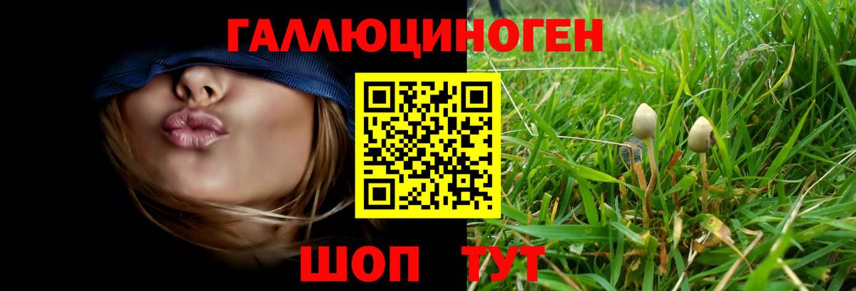 Галлюциногенные грибы Psilocybe Ульяновск